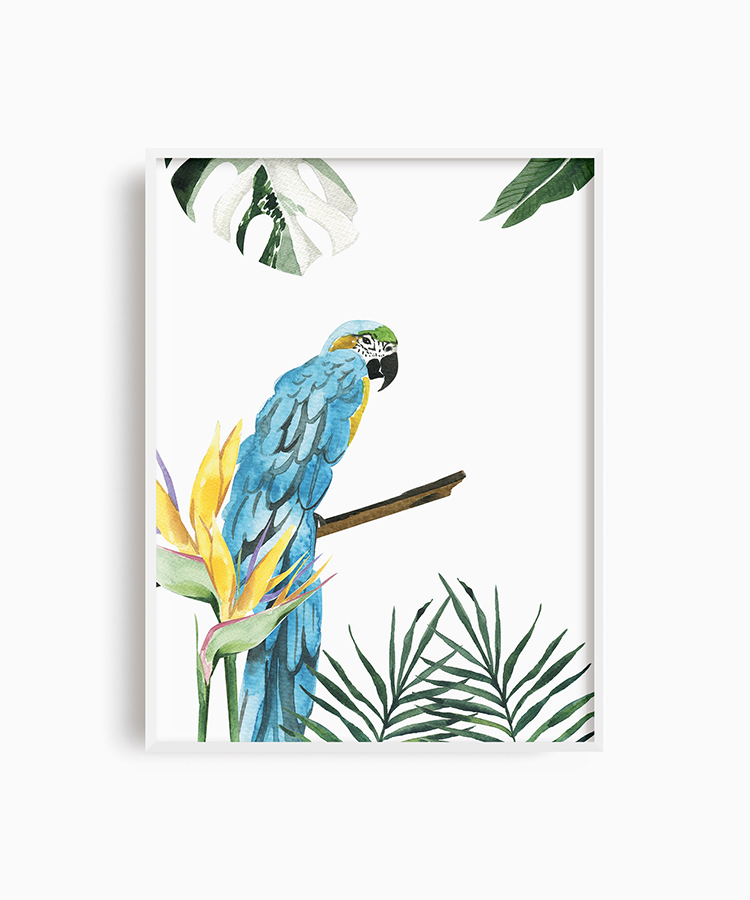 Tropikal Papağan Poster